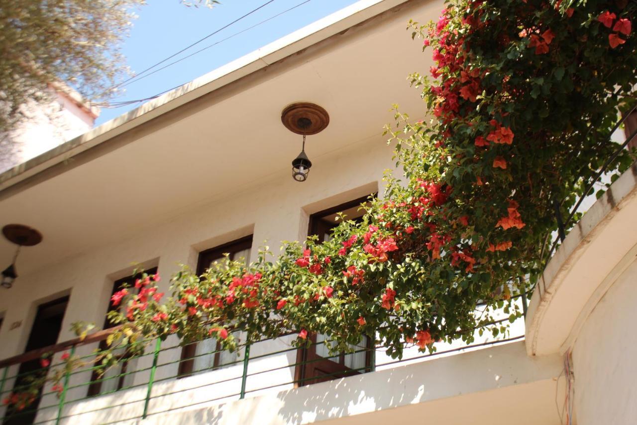 Hostal Viejo Olivo Sucre Kültér fotó