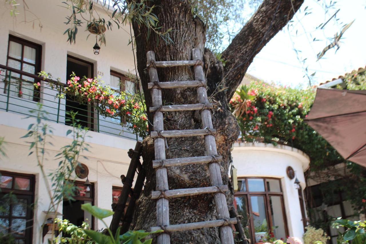 Hostal Viejo Olivo Sucre Kültér fotó